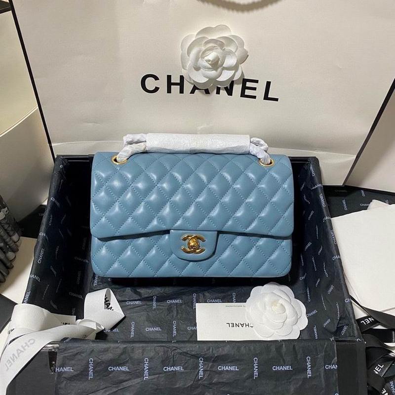 Chanel Handbags 307